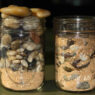 Big-Rocks-first-960x739