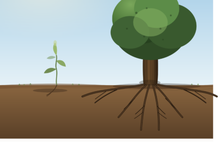 realistic_weak_plant_vs_strong_tree_caption